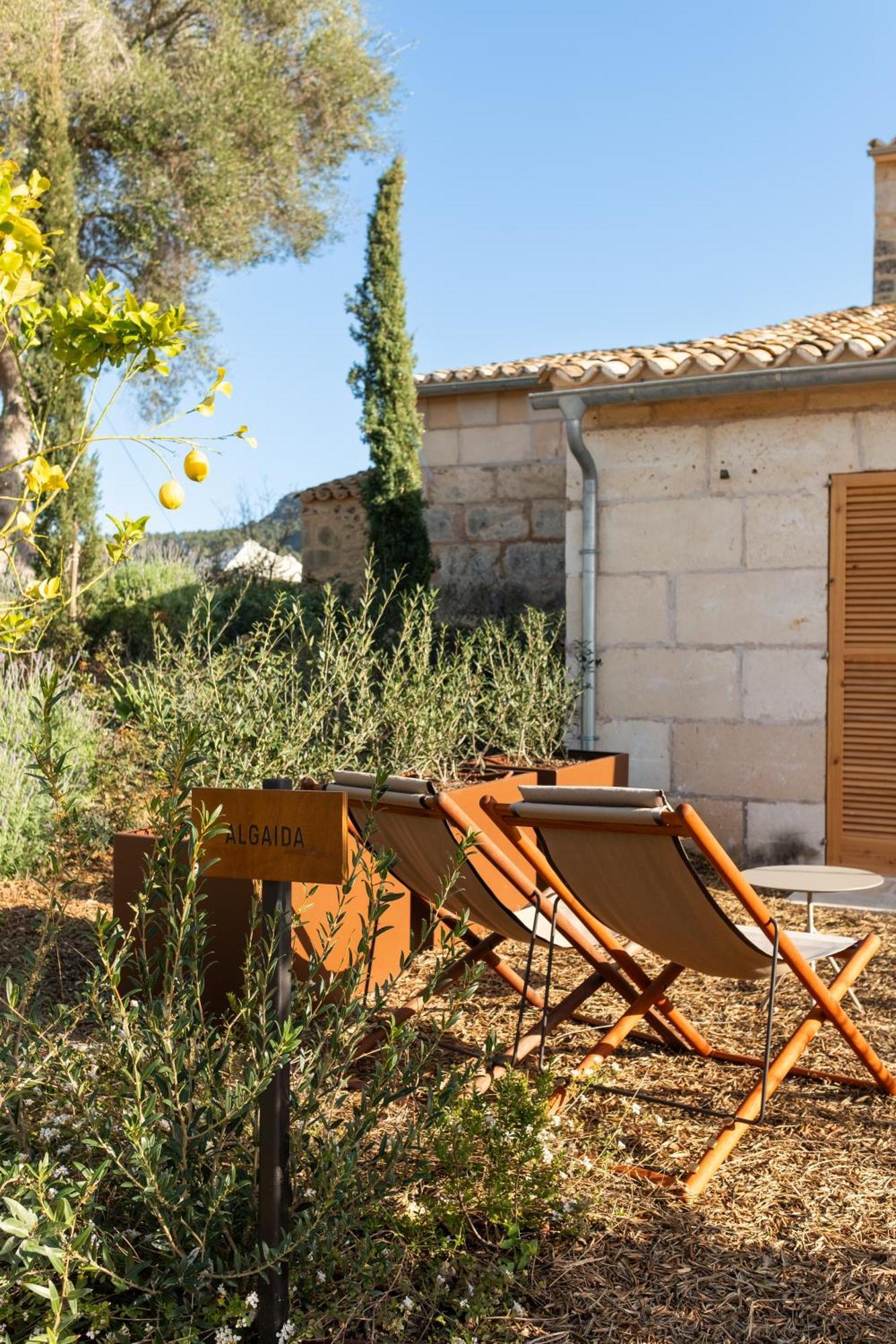 Treurer - Olive Grove & Grand House - Adults Only Hotell 5*