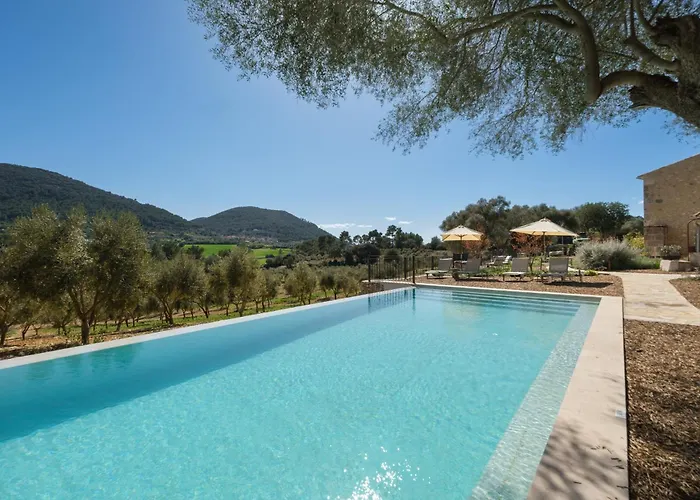 Fincahotel Treurer - Olive Grove & Grand House - Adults Only