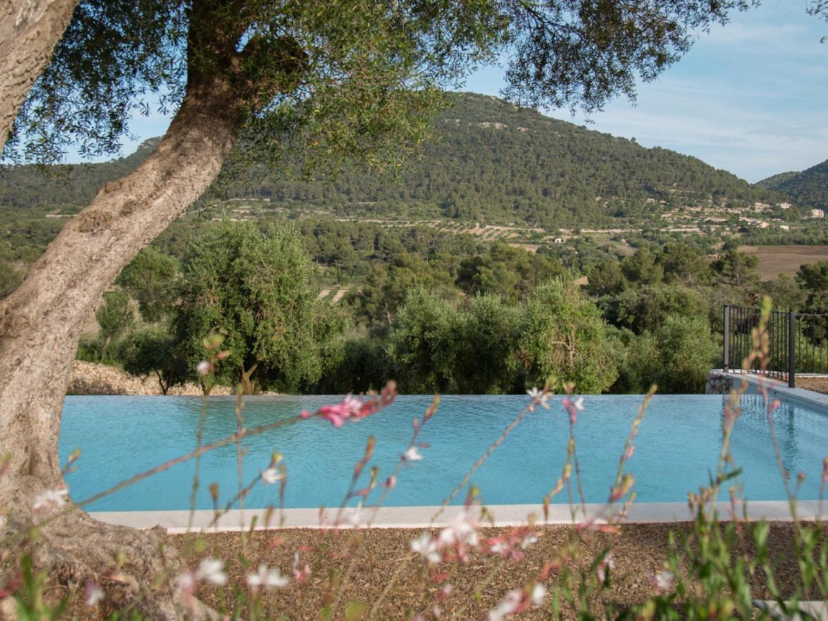 Hotel Treurer - Olive Grove & Grand House - Adults Only
