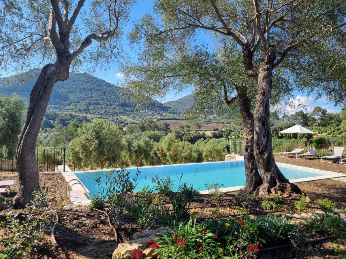Treurer - Olive Grove & Grand House - Adults Only 5*