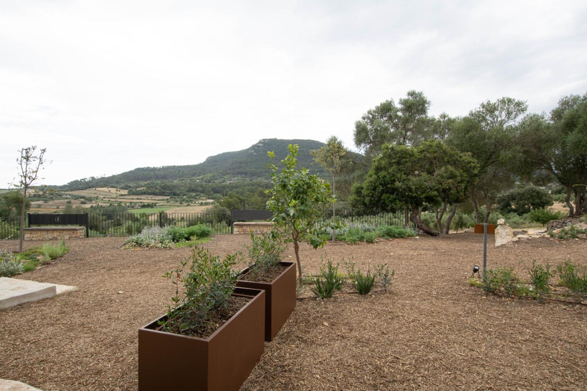 Hotel Treurer - Olive Grove & Grand House - Adults Only 5*
