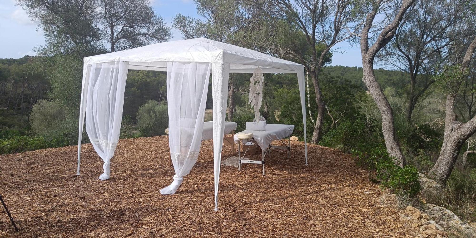 Treurer - Olive Grove & Grand House - Adults Only Algaida (Mallorca)
