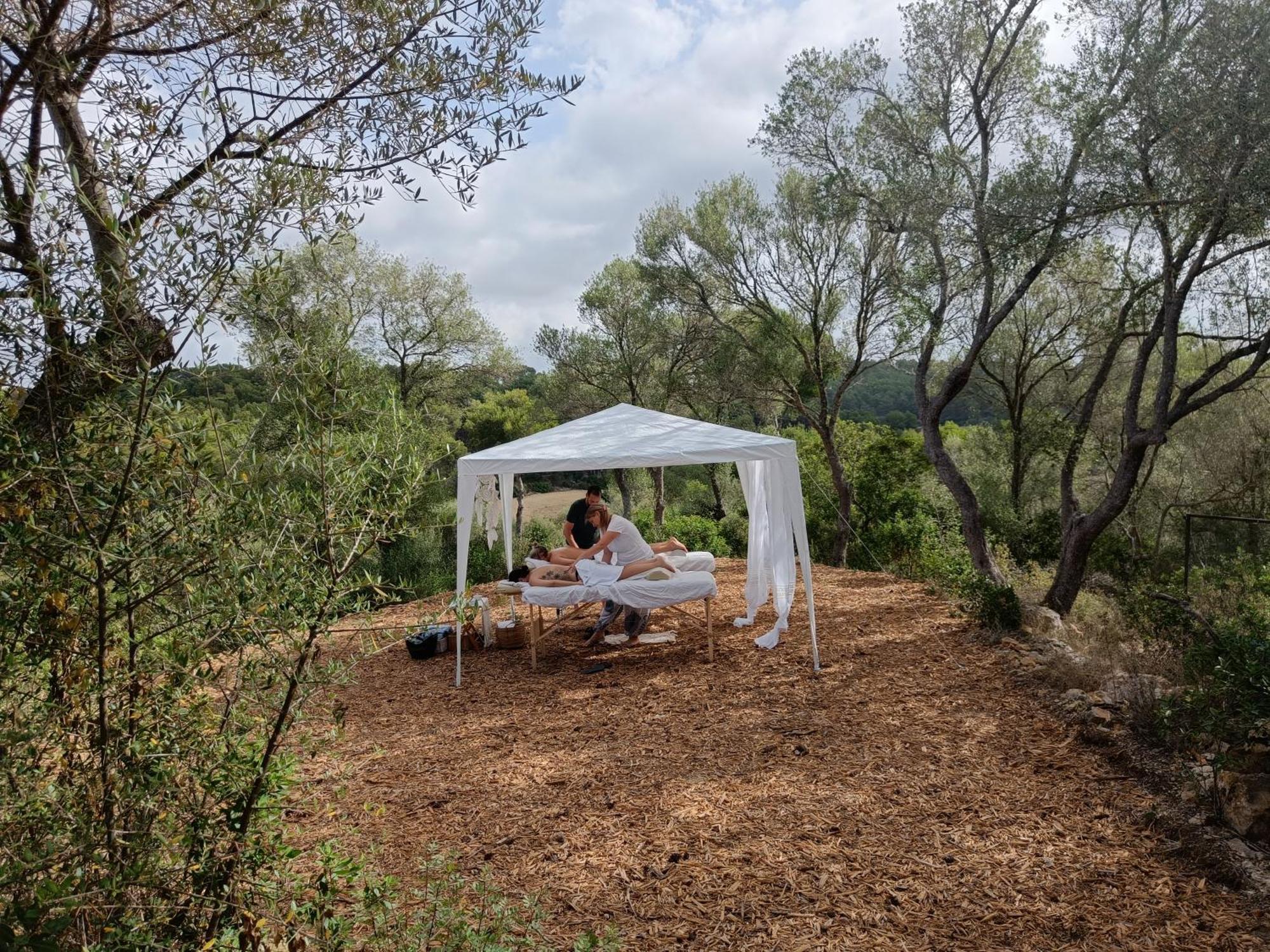 Hotel Treurer - Olive Grove & Grand House - Adults Only 5*