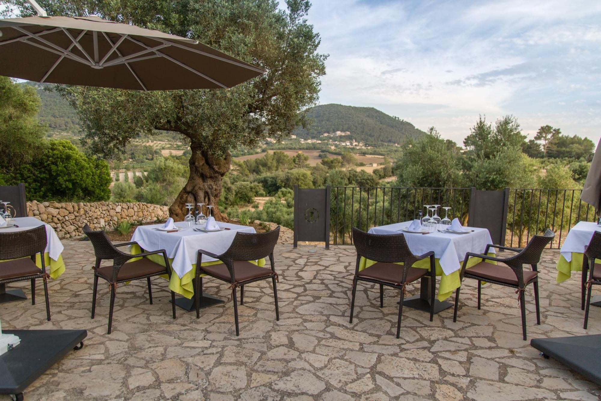 Hotel Treurer - Olive Grove & Grand House - Adults Only Algaida (Mallorca)