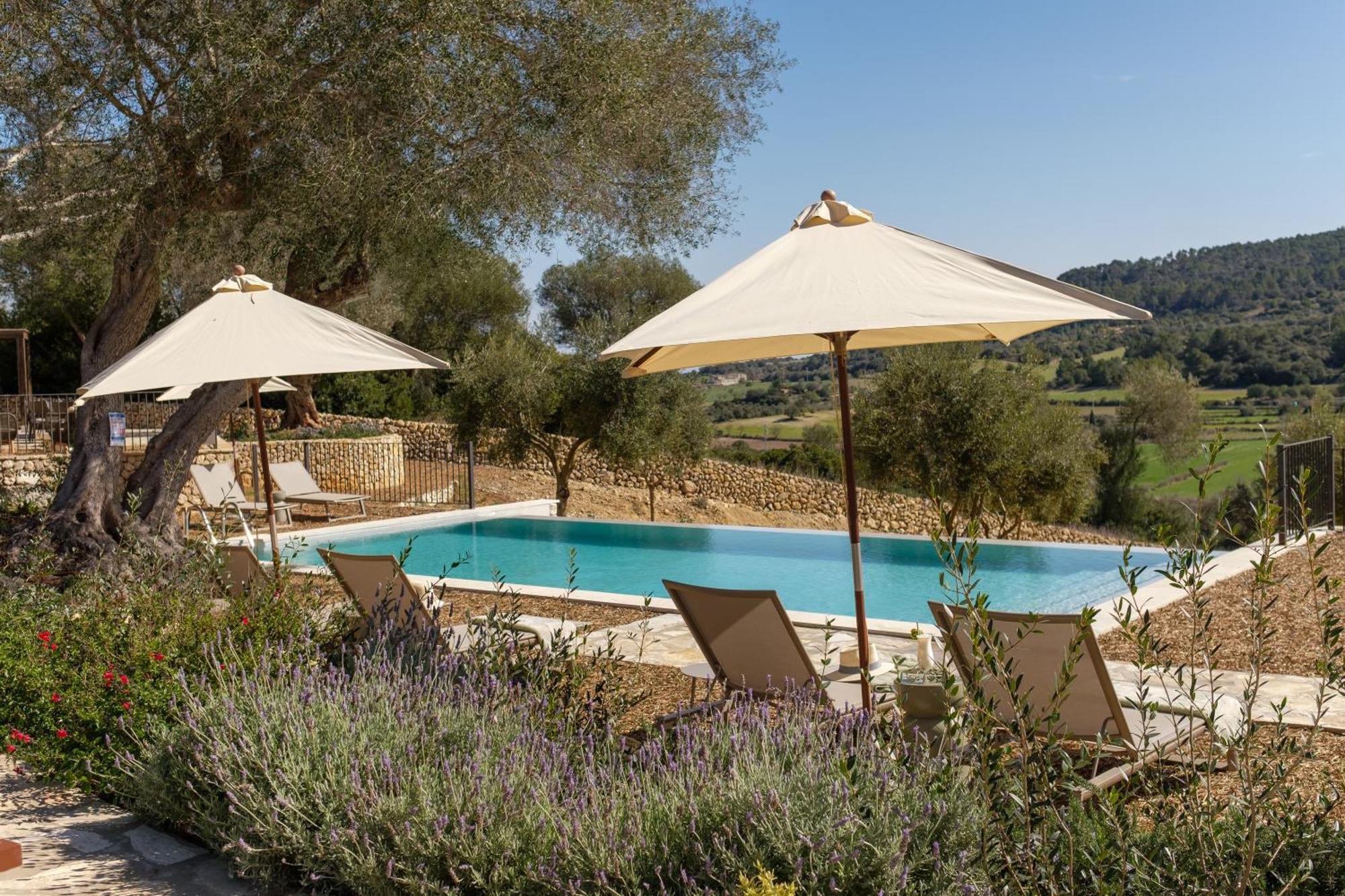 Treurer - Olive Grove & Grand House - Adults Only